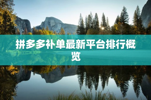 拼多多补单最新平台排行概览
