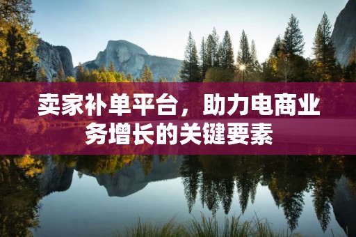 卖家补单平台，助力电商业务增长的关键要素