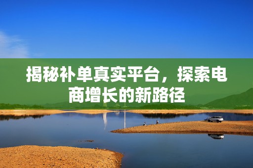 揭秘补单真实平台，探索电商增长的新路径