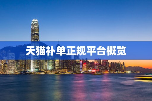 天猫补单正规平台概览