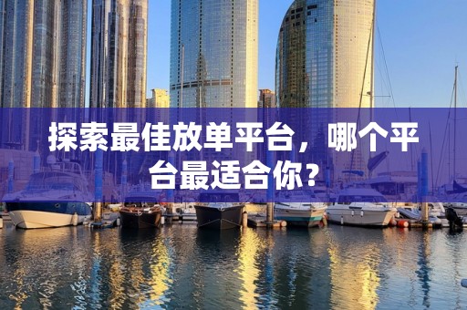 探索最佳放单平台，哪个平台最适合你？