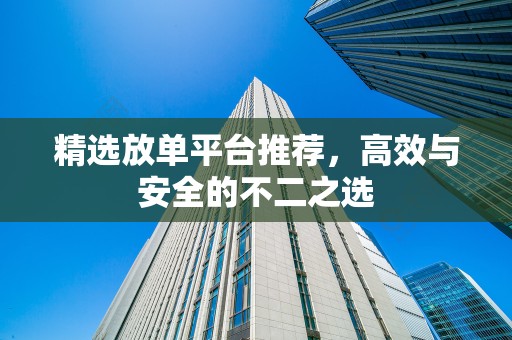 精选放单平台推荐，高效与安全的不二之选
