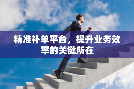 精准补单平台，提升业务效率的关键所在