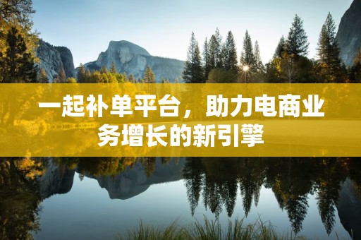 一起补单平台，助力电商业务增长的新引擎