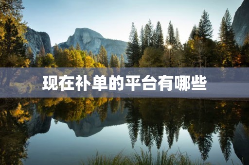 现在补单的平台有哪些