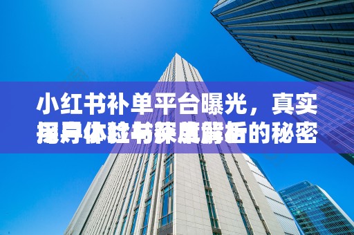 小红书补单平台曝光，真实用户体验与深度解析
探寻小红书补单背后的秘密，真实用户经历与平台功能解析