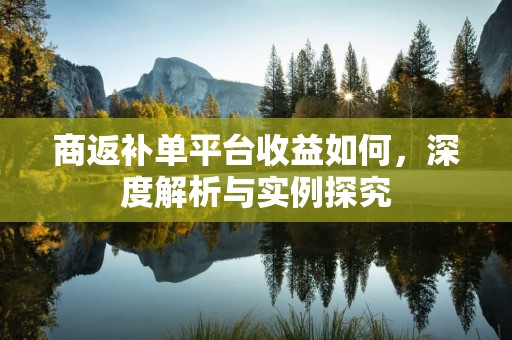 商返补单平台收益如何，深度解析与实例探究