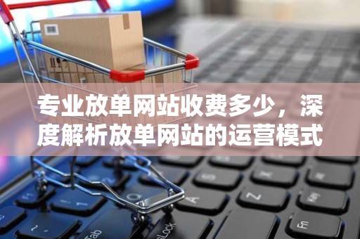 专业放单网站收费多少，深度解析放单网站的运营模式与费用结构