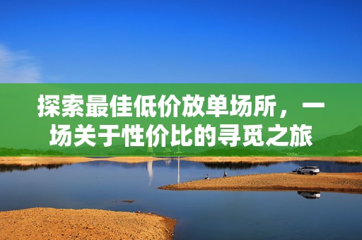 探索最佳低价放单场所，一场关于性价比的寻觅之旅