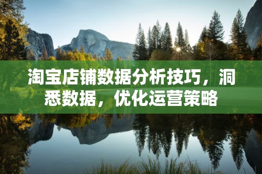 淘宝店铺数据分析技巧，洞悉数据，优化运营策略