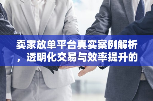 卖家放单平台真实案例解析，透明化交易与效率提升的关键环节
