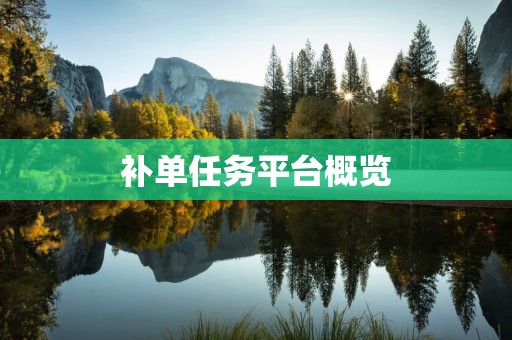 补单任务平台概览