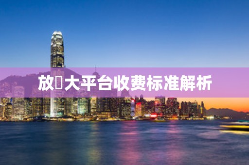 放單大平台收费标准解析