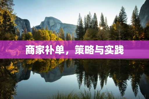 商家补单，策略与实践