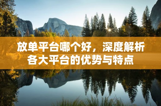 放单平台哪个好，深度解析各大平台的优势与特点