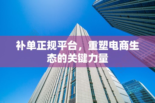 补单正规平台，重塑电商生态的关键力量