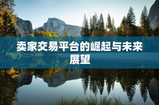 卖家交易平台的崛起与未来展望