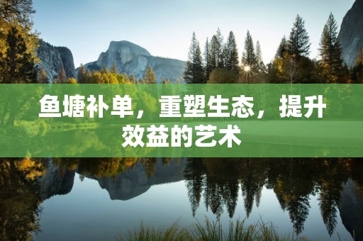 鱼塘补单，重塑生态，提升效益的艺术