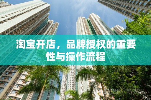 淘宝开店，品牌授权的重要性与操作流程