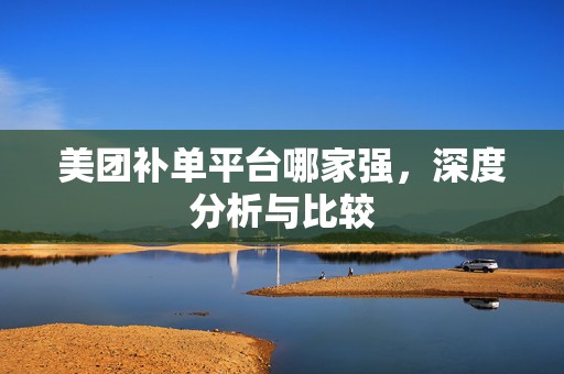 美团补单平台哪家强，深度分析与比较
