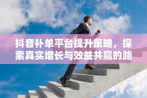 抖音补单平台提升策略，探索真实增长与效益共赢的路径