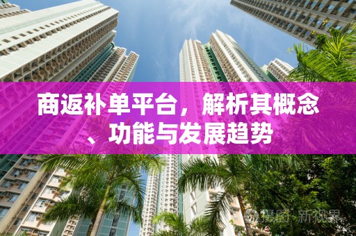 商返补单平台，解析其概念、功能与发展趋势