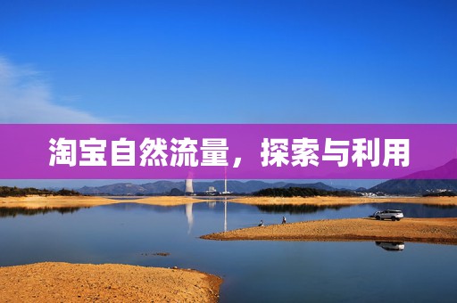 淘宝自然流量，探索与利用