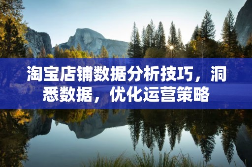淘宝店铺数据分析技巧，洞悉数据，优化运营策略