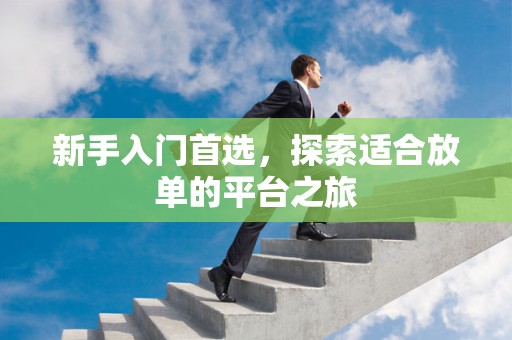 新手入门首选，探索适合放单的平台之旅