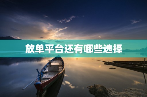 放单平台还有哪些选择