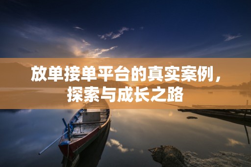 放单接单平台的真实案例，探索与成长之路