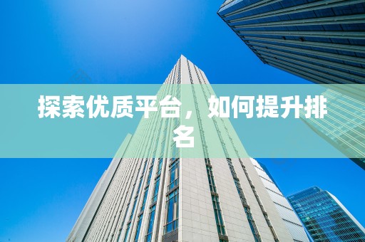 探索优质平台，如何提升排名