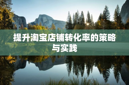 提升淘宝店铺转化率的策略与实践