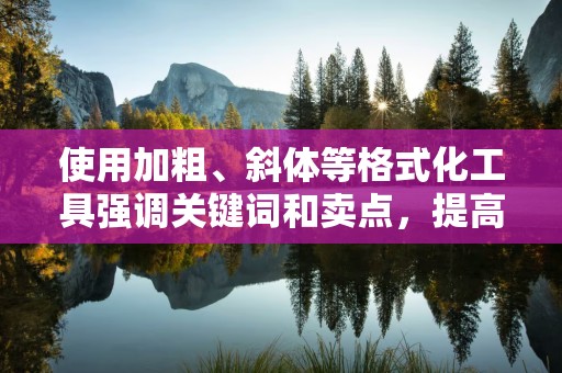 使用加粗、斜体等格式化工具强调关键词和卖点，提高消费者的关注度