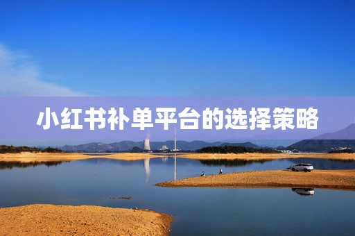 小红书补单平台的选择策略