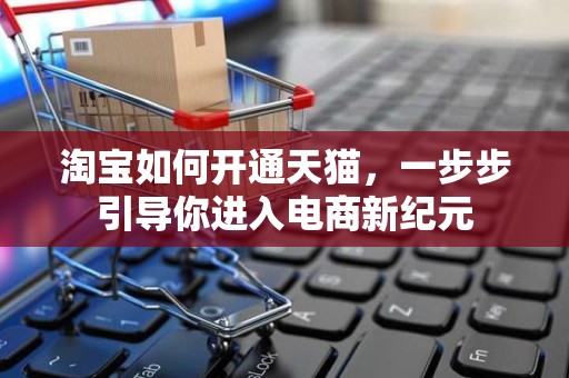 淘宝如何开通天猫，一步步引导你进入电商新纪元