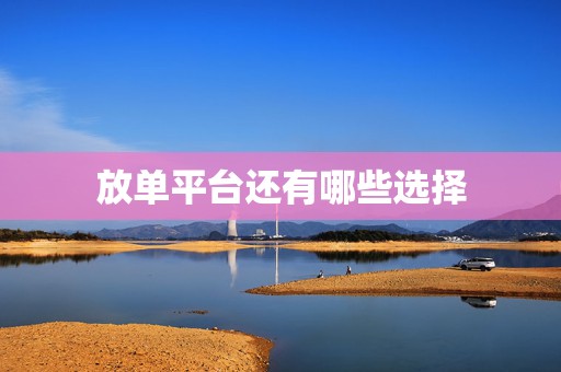 放单平台还有哪些选择