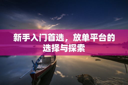 新手入门首选，放单平台的选择与探索