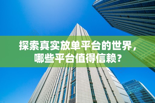 探索真实放单平台的世界，哪些平台值得信赖？