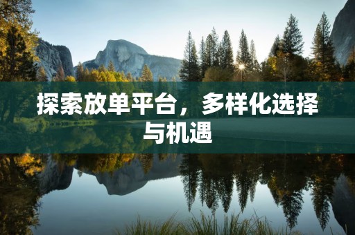 探索放单平台，多样化选择与机遇