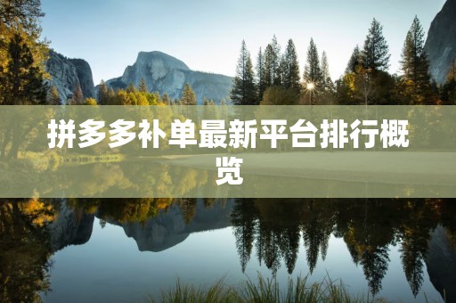 拼多多补单最新平台排行概览