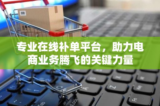 专业在线补单平台，助力电商业务腾飞的关键力量