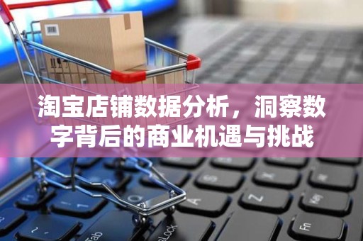 淘宝店铺数据分析，洞察数字背后的商业机遇与挑战