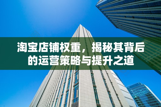 淘宝店铺权重，揭秘其背后的运营策略与提升之道