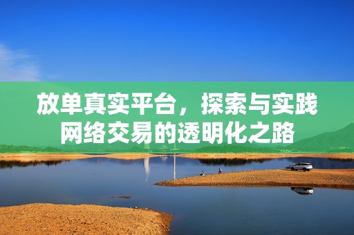 放单真实平台，探索与实践网络交易的透明化之路