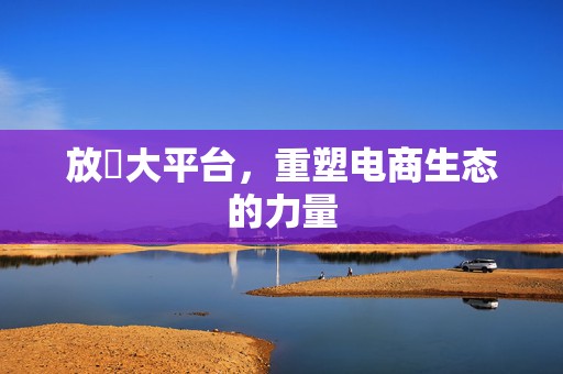 放單大平台，重塑电商生态的力量