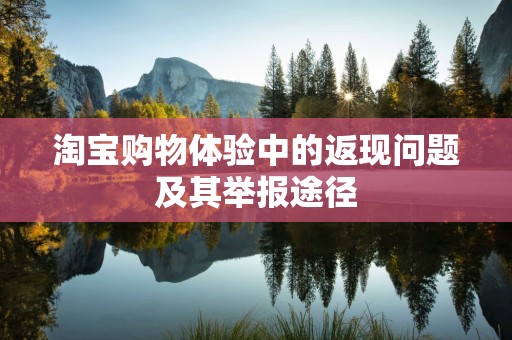 淘宝购物体验中的返现问题及其举报途径