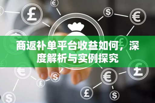 商返补单平台收益如何，深度解析与实例探究