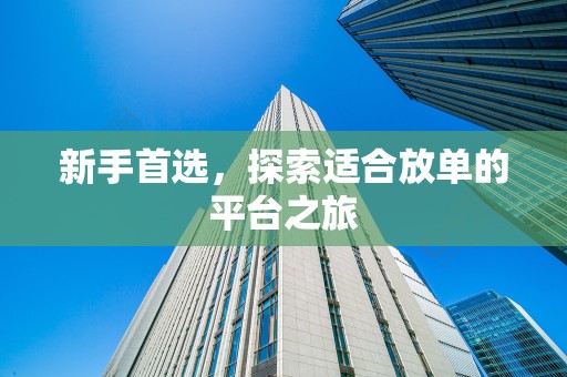 新手首选，探索适合放单的平台之旅