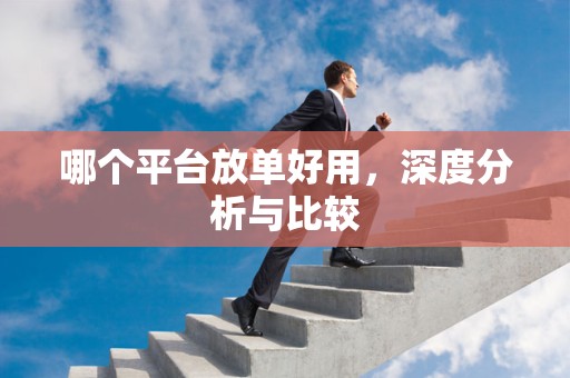 哪个平台放单好用，深度分析与比较